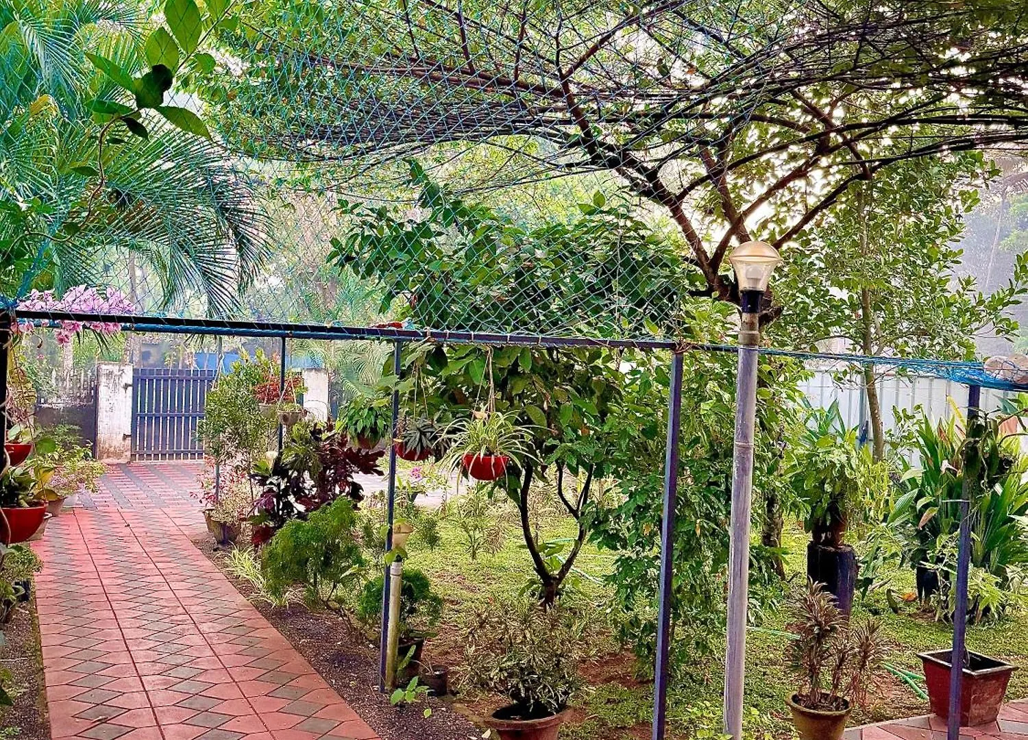 Couette-café Marari Charlys Homestay Alappuzha Inde